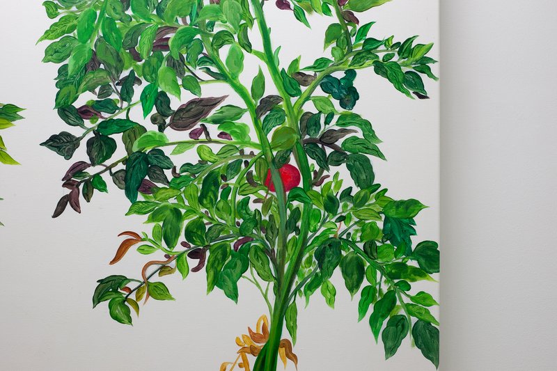 Alex Fischer, Vii 陈山 Chen Shan Detail, 2015-02-26